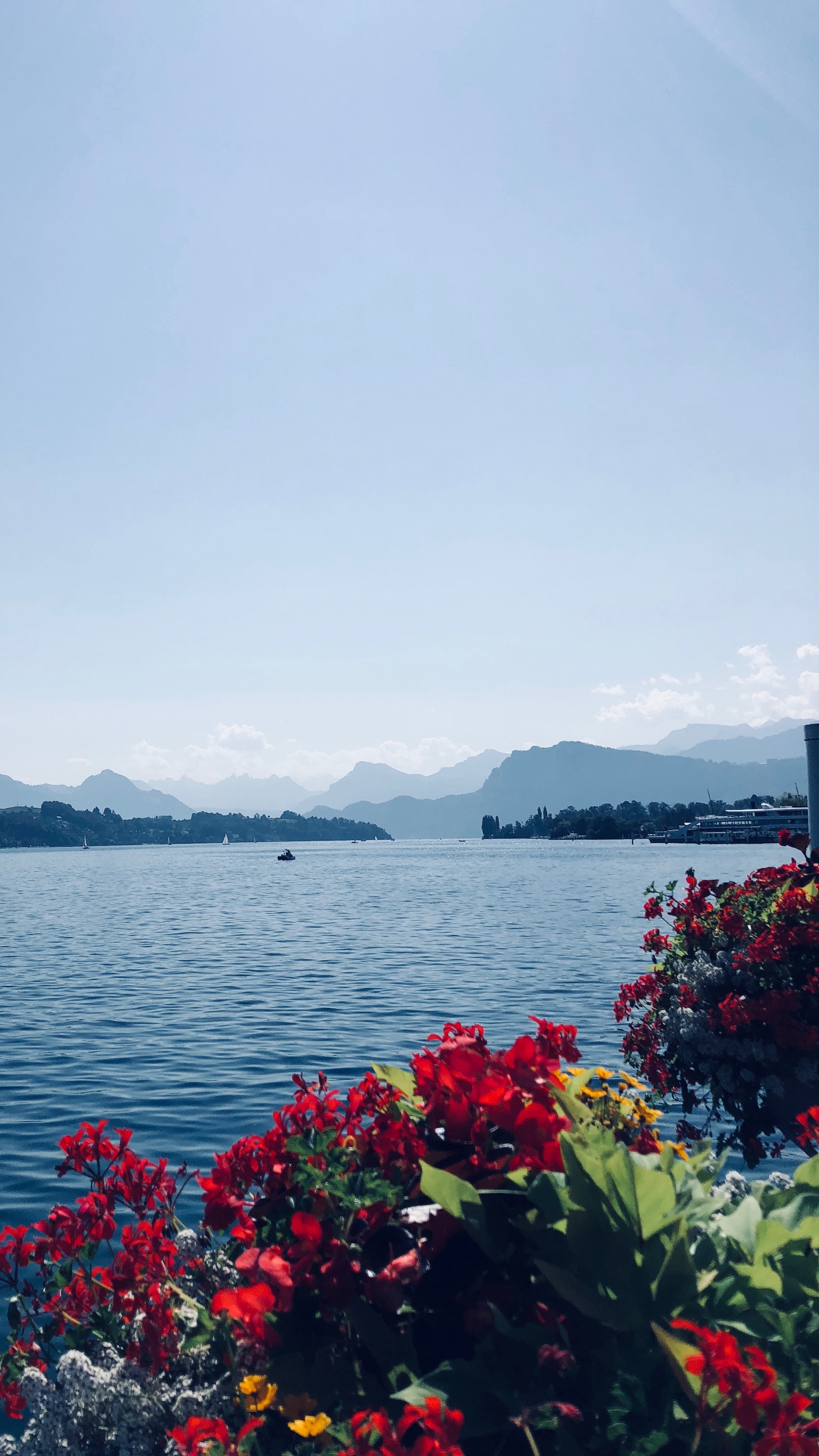 Lake Lucerne from Weggis